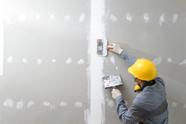 Best Mold Remediation for Rental Properties  in Cordova, AL