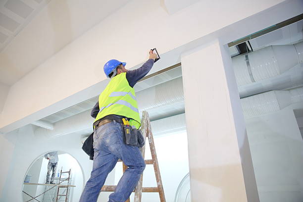Reliable Cordova, AL Mold Removal Solutions